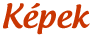 Partybike képek
